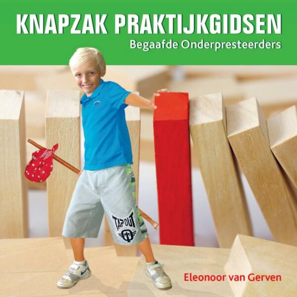 Begaafde onderpresteerders - Eleonoor van Gerven (ISBN 9789461938879)