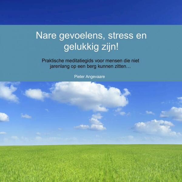 Nare gevoelens, stress en gelukkig zijn! - Pieter Angevaare (ISBN 9789402112498)