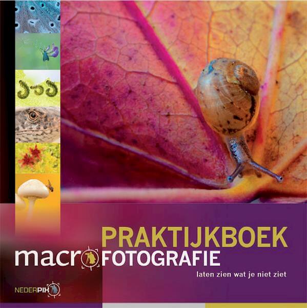 Praktijkboek macrofotografie - Jaap Schelvis, Paul van Hoof, Ron Poot, Leon Baas, Arjen Drost, Joris van Alphen (ISBN 9789079588084)