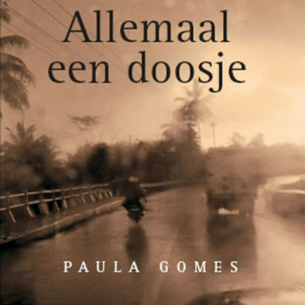 Allemaal een doosje - Paula Gomes (ISBN 9789047604273)