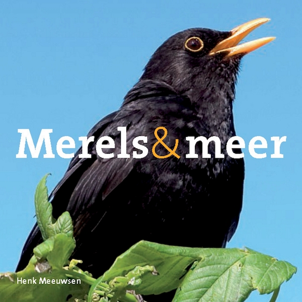 Merels & meer - Henk Meeuwsen (ISBN 9789461495556)