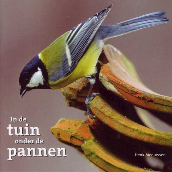 In de tuin onder de pannen - Henk Meeuwsen (ISBN 9789461495594)