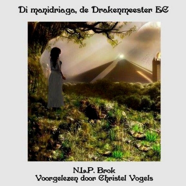 Di manidriaga, de Drakenmeester - Nick Brok (ISBN 9789080702844)