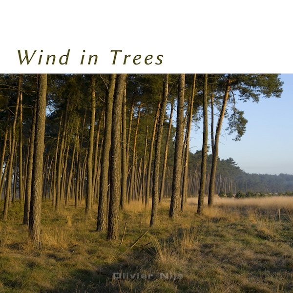 Wind in Trees - Olivier Nijs (ISBN 0887516111952)