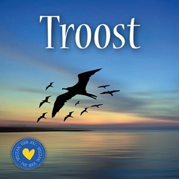 Troost - (ISBN 9789461885913)