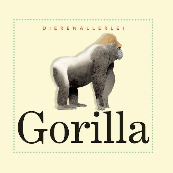 Gorilla - Jinny Johnson (ISBN 9789055662081)