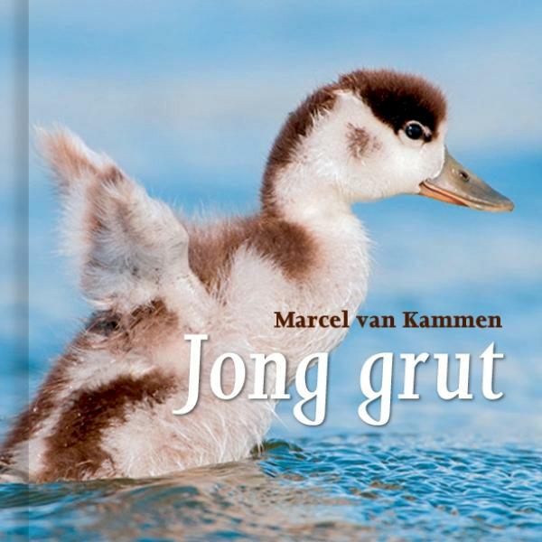 Jong grut - Marcel van Kammen (ISBN 9789492052155)