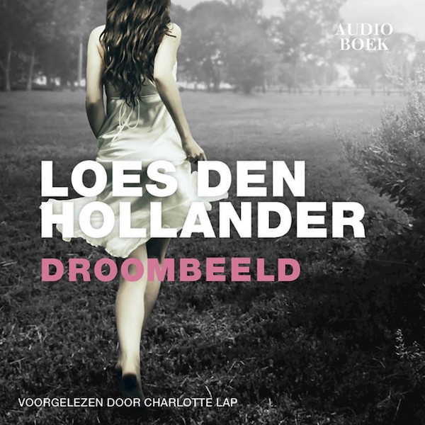Droombeeld - Loes den Hollander (ISBN 9789462532816)