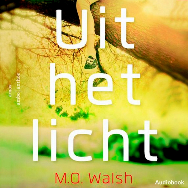 Uit het licht - M.O. Walsh (ISBN 9789462533134)