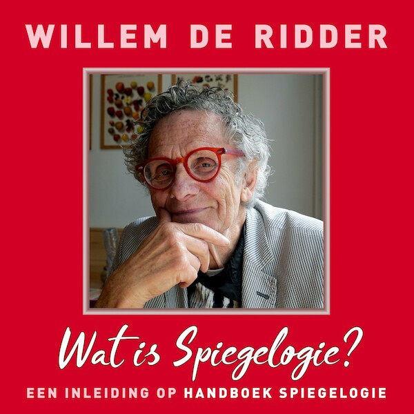 Handboek Spiegelogie (Een inleiding) - Willem de Ridder (ISBN 9789020213720)