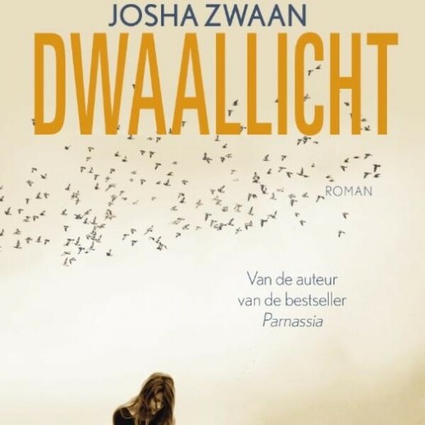 Dwaallicht - Josha Zwaan (ISBN 9789462533851)