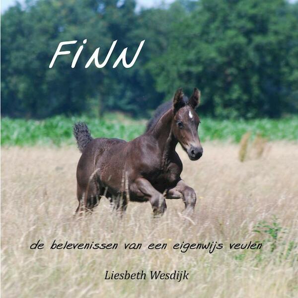 Finn - Liesbeth Wesdijk (ISBN 9789463425070)