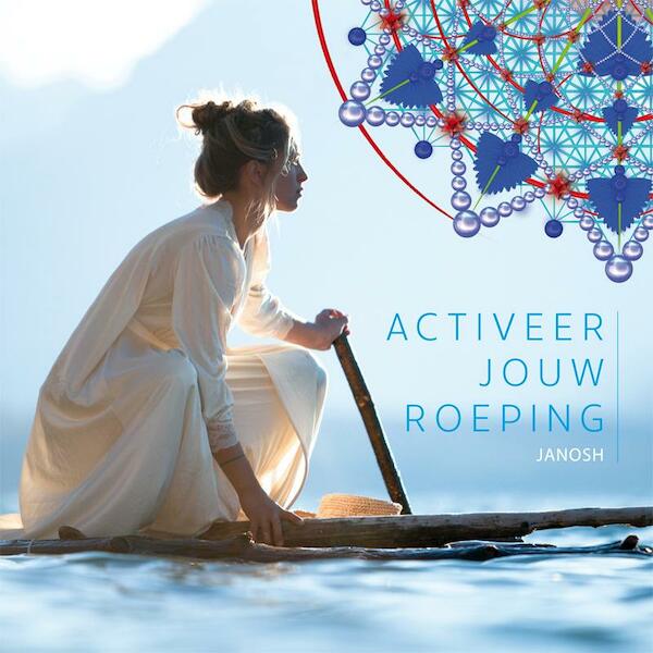 Activeer jouw roeping - Janosh (ISBN 9789079482122)