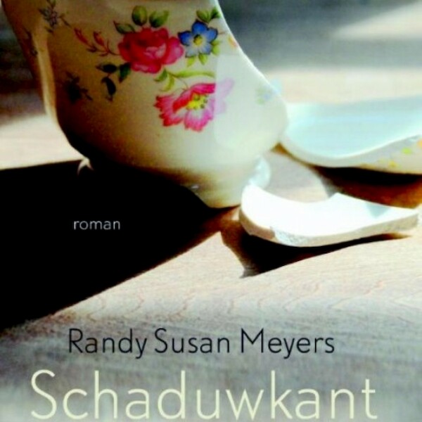 Schaduwkant - Randy Susan Meyers (ISBN 9789462537293)