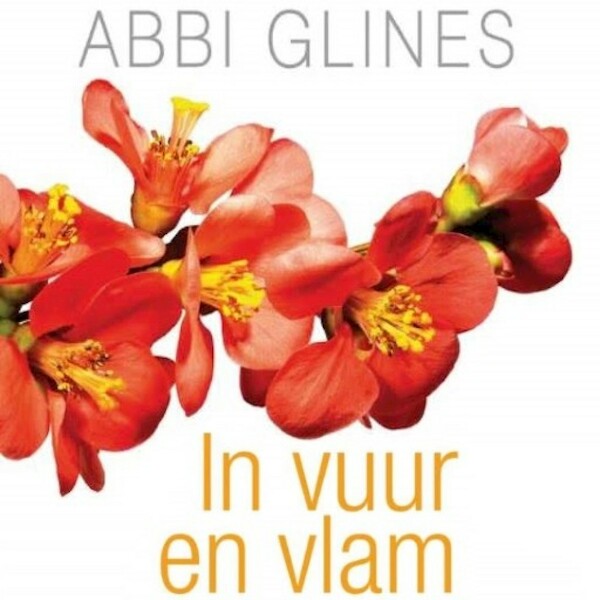 In vuur en vlam - Abbi Glines (ISBN 9789462539327)