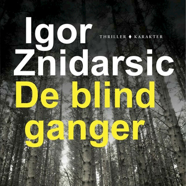 De blindganger - Igor Znidarsic (ISBN 9789045213880)