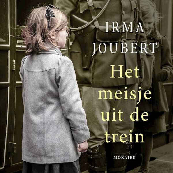 Het meisje uit de trein - Irma Joubert (ISBN 9789023954897)
