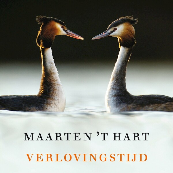 Verlovingstijd - Maarten 't Hart (ISBN 9789029526050)