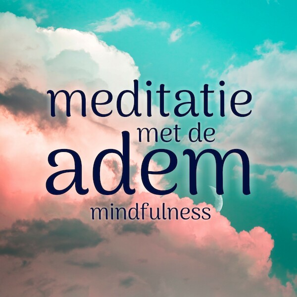 Mindfulness Meditatie met de adem - Suzan van der Goes (ISBN 9789463270618)