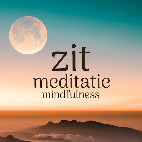 Mindfulness Zit Meditatie - Suzan van der Goes (ISBN 9789463270632)