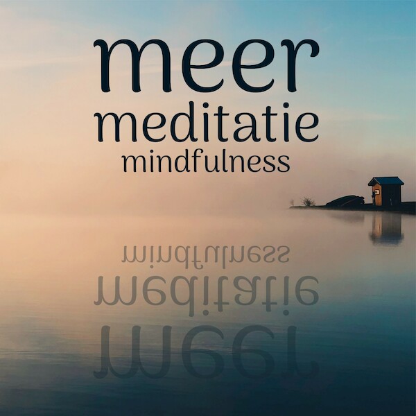 Mindfulness Meer Meditatie - Suzan van der Goes (ISBN 9789463270663)