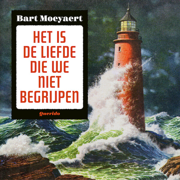 Het is de liefde die we niet begrijpen - Bart Moeyaert (ISBN 9789021416601)