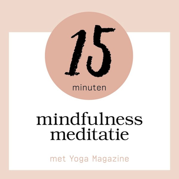 15 minuten mindfulness meditatie - (ISBN 9789463270335)