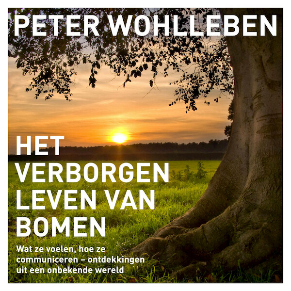 Het verborgen leven van bomen - Peter Wohlleben (ISBN 9789046172414)