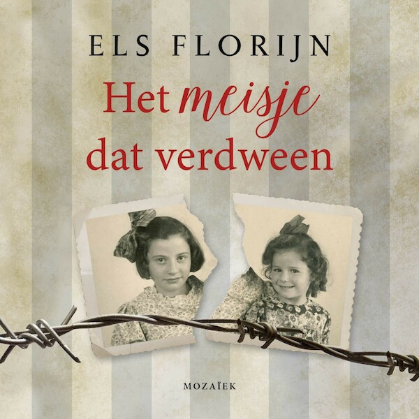 Het meisje dat verdween - Els Florijn (ISBN 9789023956457)