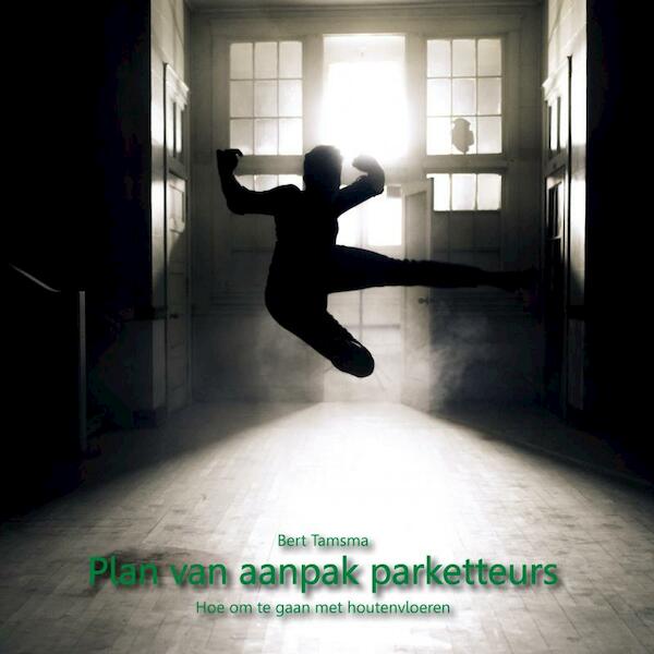 Plan Van Aanpak Parketteurs - Bert Tamsma (ISBN 9789402180114)