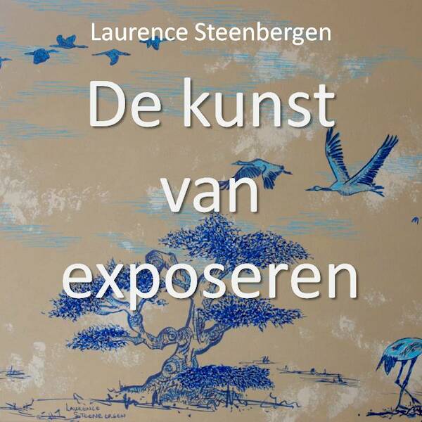 De kunst van exposeren - Laurence Steenbergen (ISBN 9789065231307)