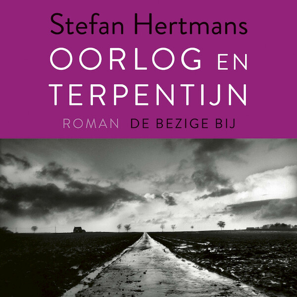 Oorlog en terpentijn - Stefan Hertmans (ISBN 9789403151908)