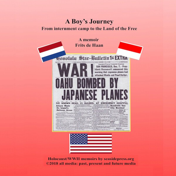 A Boy's Journey - Frits de Haan (ISBN 9781947940291)