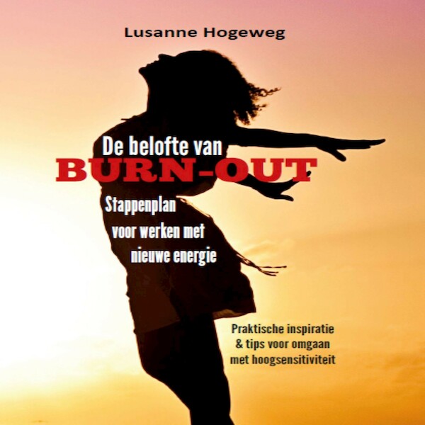 De belofte van burn-out - Lusanne Hogeweg (ISBN 9789462171701)