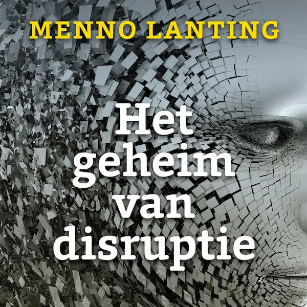 Het geheim van disruptie - Menno Lanting (ISBN 9789047013112)