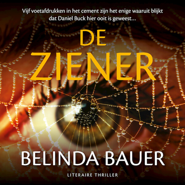 De ziener - Belinda Bauer (ISBN 9789046172353)