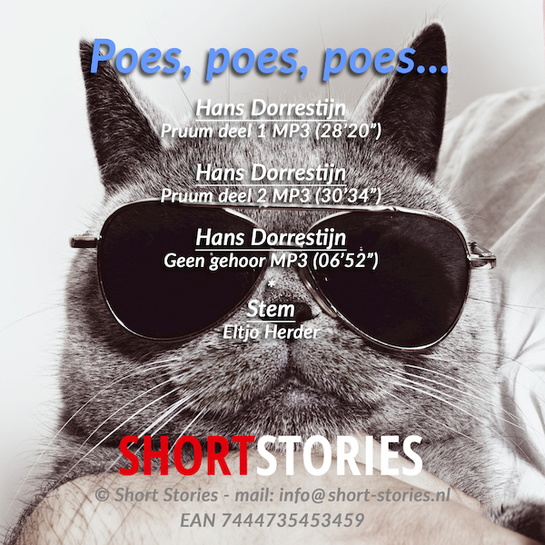 Poes, poes, poes... - Hans Dorrestijn (ISBN 7444735453459)
