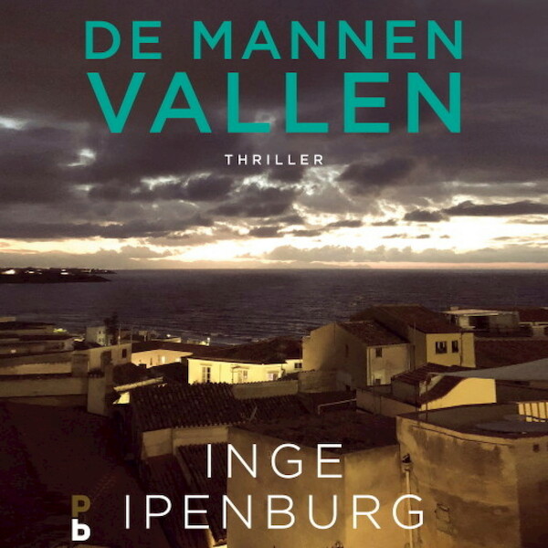 De mannen vallen - Inge Ipenburg (ISBN 9789463629225)