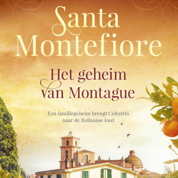 Het geheim van Montague - Santa Montefiore (ISBN 9789463631396)