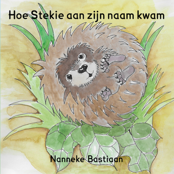 Hoe Stekie aan zijn naam kwam - Nanneke Bastiaan (ISBN 9789492469137)