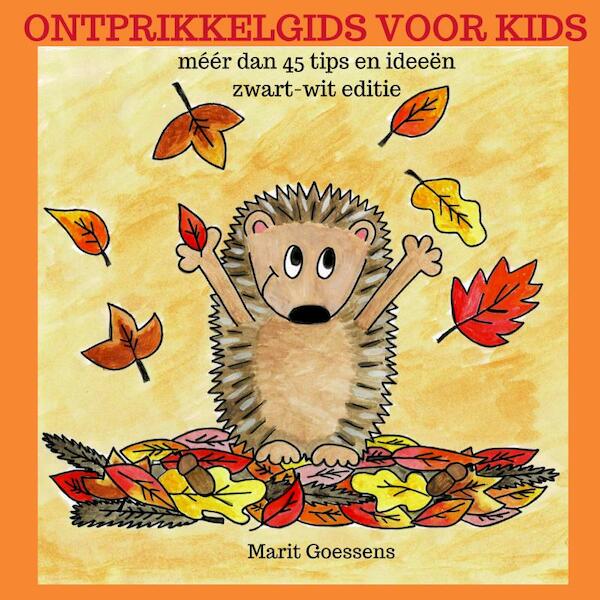 Ontprikkelgids voor kids - Marit Goessens (ISBN 9789463989237)