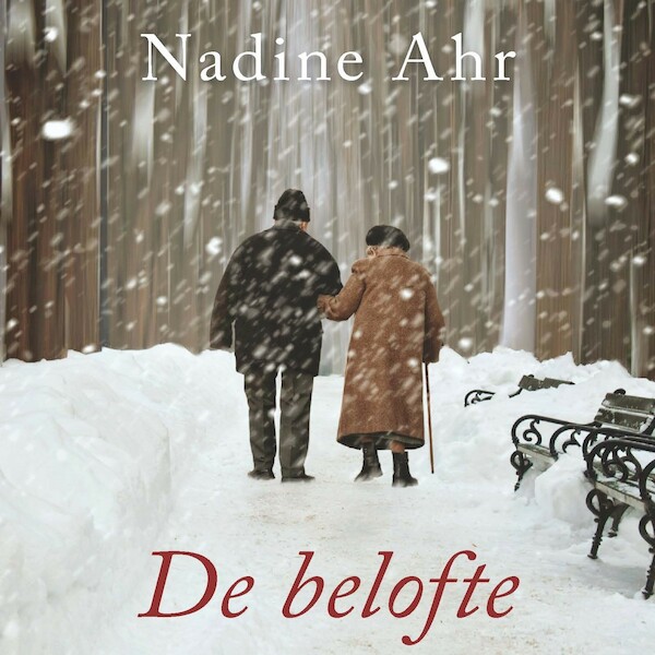 De belofte - Nadine Ahr (ISBN 9789021422268)