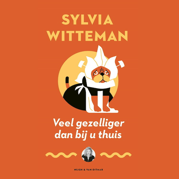 Veel gezelliger dan bij u thuis - Sylvia Witteman (ISBN 9789038808918)