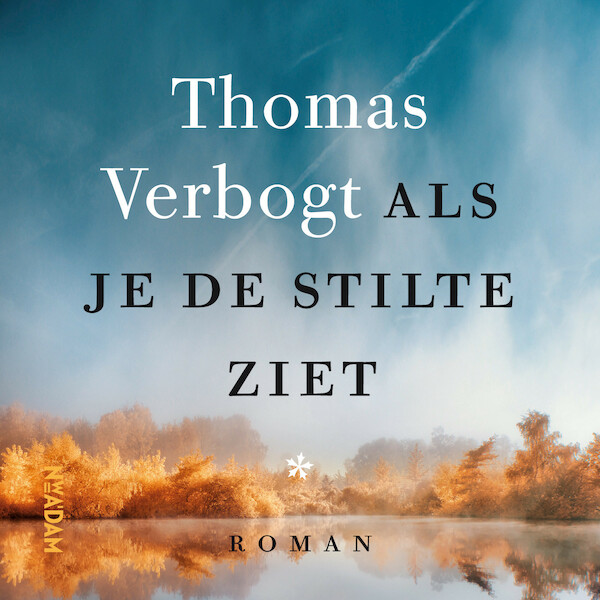 Als je de stilte ziet - Thomas Verbogt (ISBN 9789046827031)