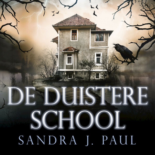 De duistere school - Sandra J. Paul (ISBN 9789462552562)