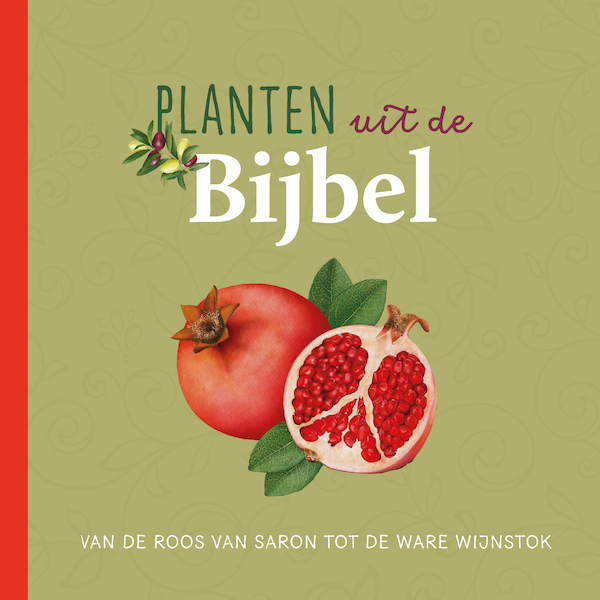 Planten uit de Bijbel - Judith Dinsmore (ISBN 9789043534604)