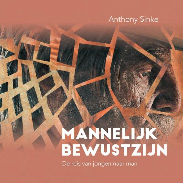 Mannelijk Bewustzijn - Anthony Sinke (ISBN 9789464053913)