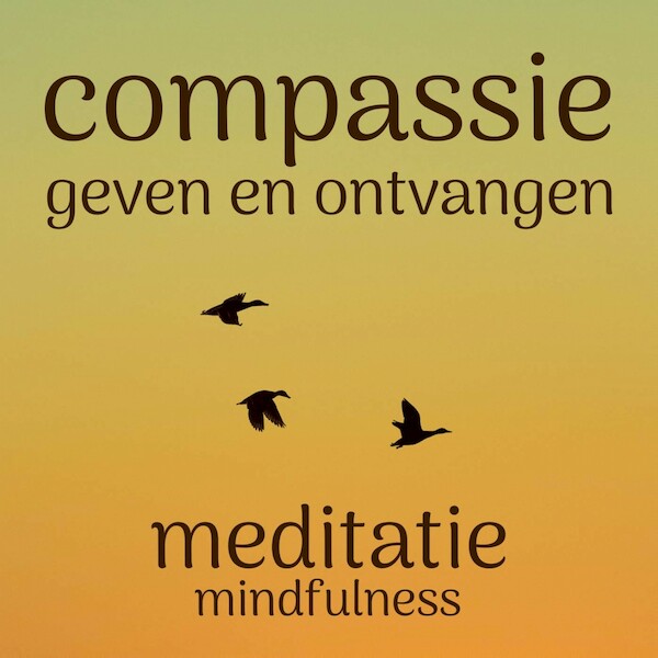 Compassie geven en ontvangen - Suzan van der Goes (ISBN 9789462552623)