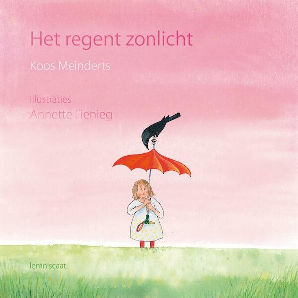 Het regent zonlicht - Koos Meinderts, Thijs Borsten (ISBN 9789047703099)