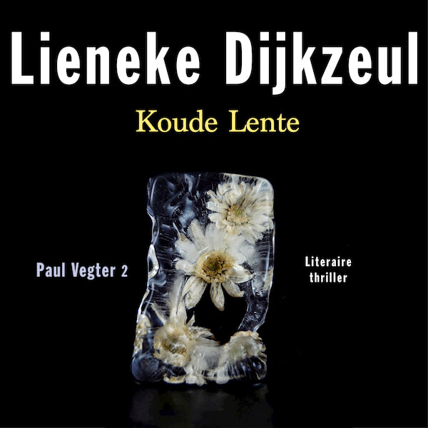 Koude lente - Lieneke Dijkzeul (ISBN 9789026352997)